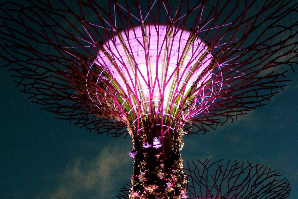 Úvod do Juhovýchodnej Ázie: Záhradný Singapur