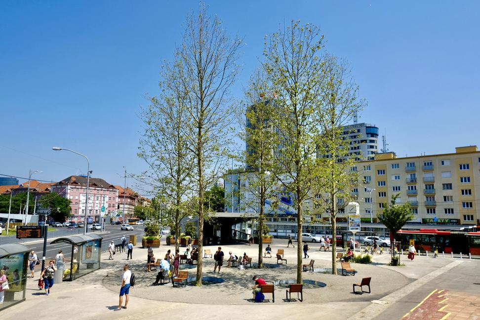 Bratislava pracuje na tom, aby odolávala klimatickej kríze a stala sa mestom pre zdravší život