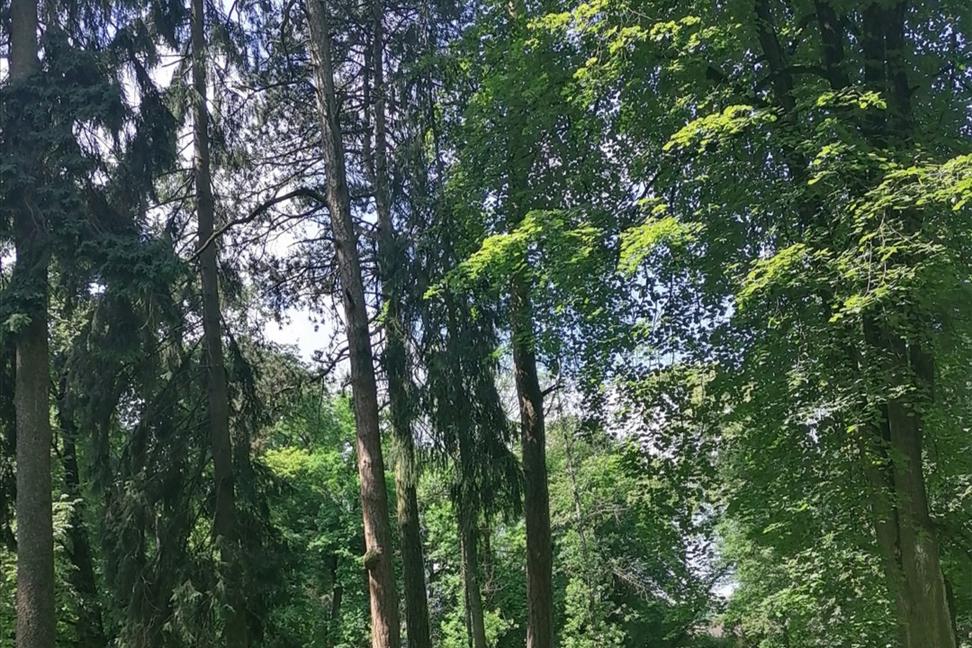 Slovenské Černobyle VIII. Bývalá psychiatrická liečebňa v Bytčici. Park a drevený pavilón.
