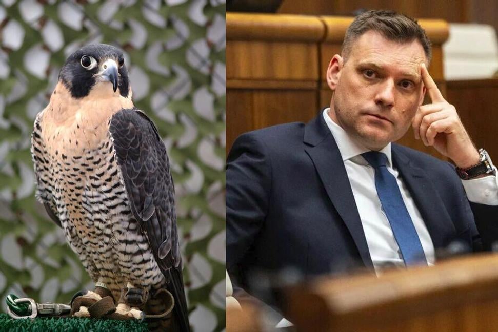Ako Taraba s bystrickými sokoliarmi vybabral