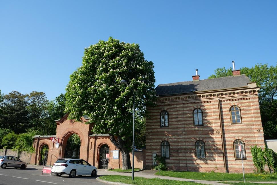 Cintorín sv. Marka vo Viedni, miesto kde pochovali Mozarta
