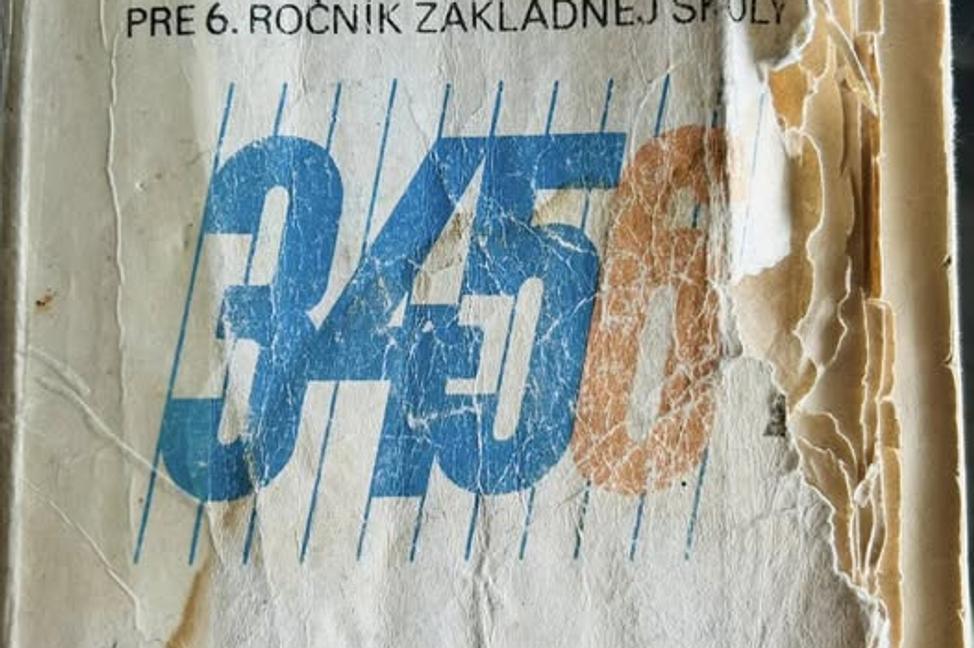 Únava z demokracie - o raste, bolesti a možnostiach Slovenska