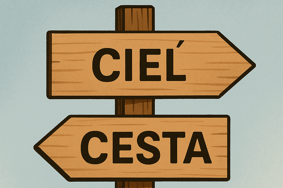 Cieľ je dobrý. Ale cesta je zlá.