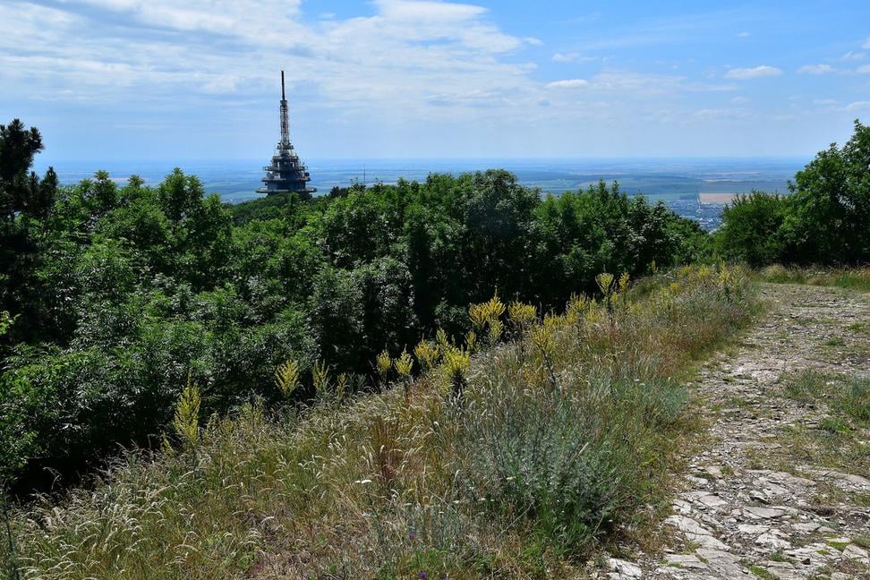 Veľká biela skala a Náučný chodník hradisko Zobor