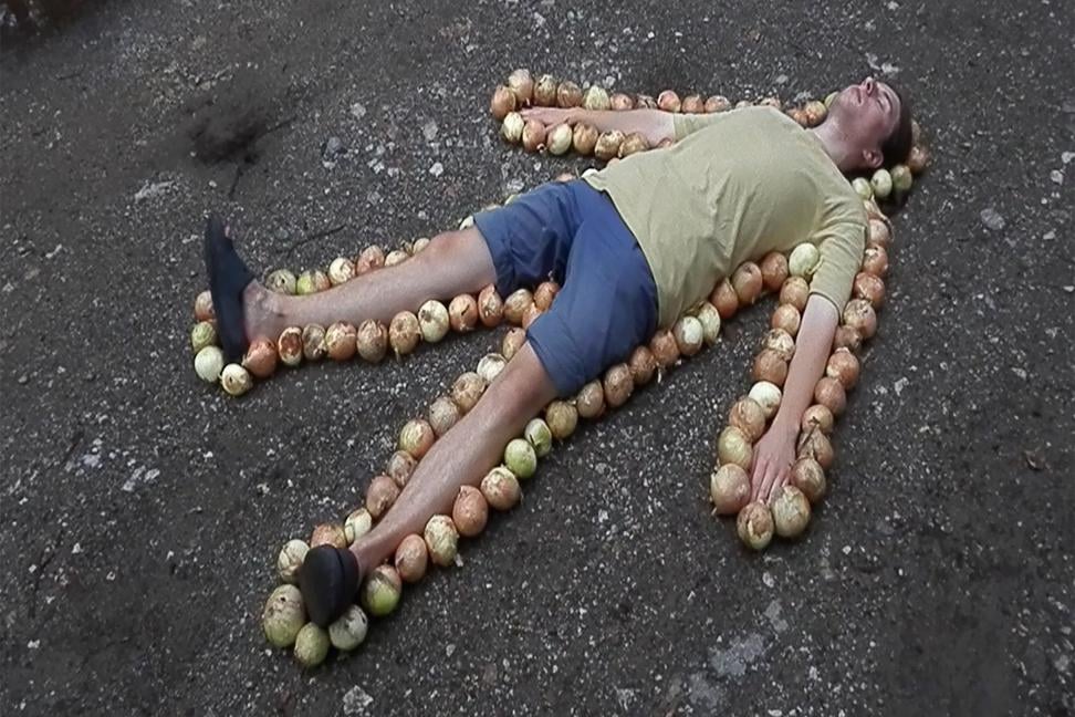 Letokruhy cibule