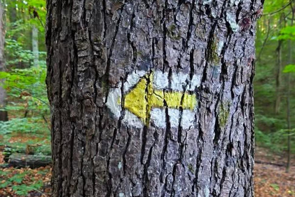 Modriny na duši - Cesta k odchodu 