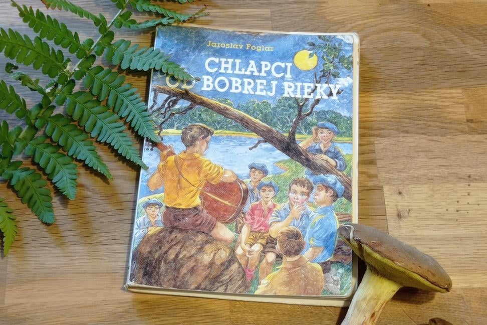 Čítanie z knižnice: Chlapci od Bobrej rieky