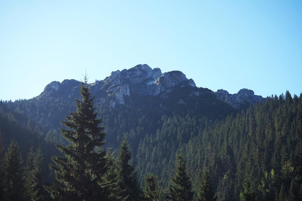 Rozsutec