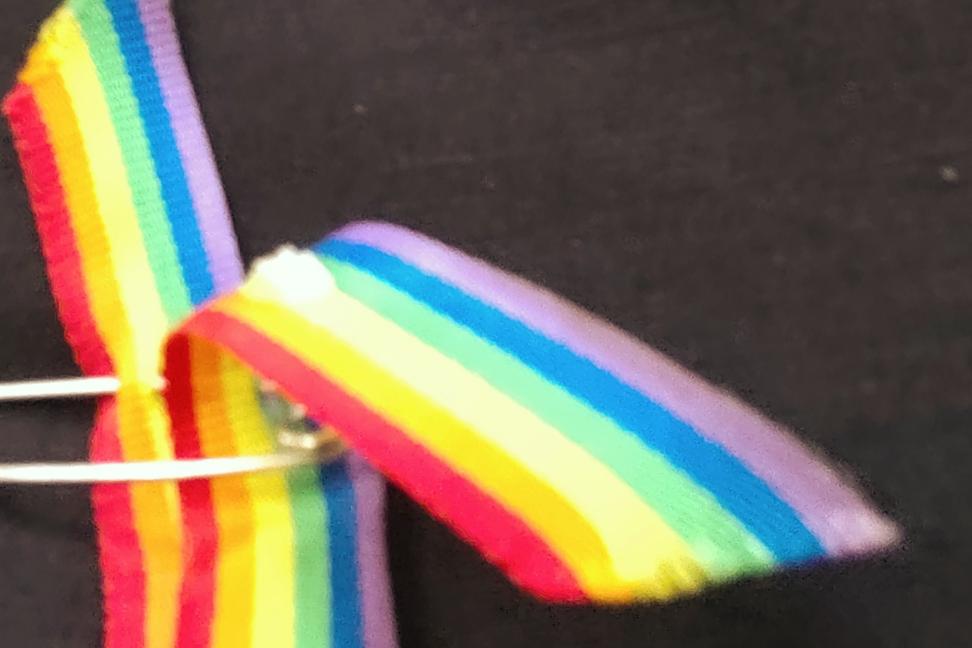 Pán Pellegrini, že vám tá nenávisť voči LGBTI+ Ľuďom nevadila, keď ste podpisovali tú Ústavu..