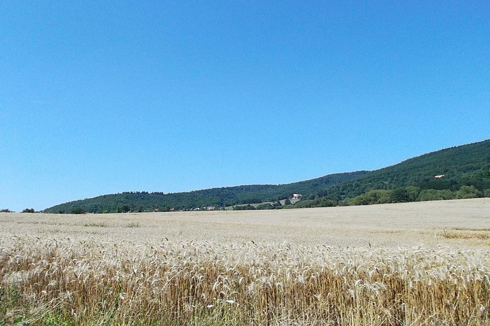 Slnečno, lokálne búrky a 31°C, to všetko nás čaká