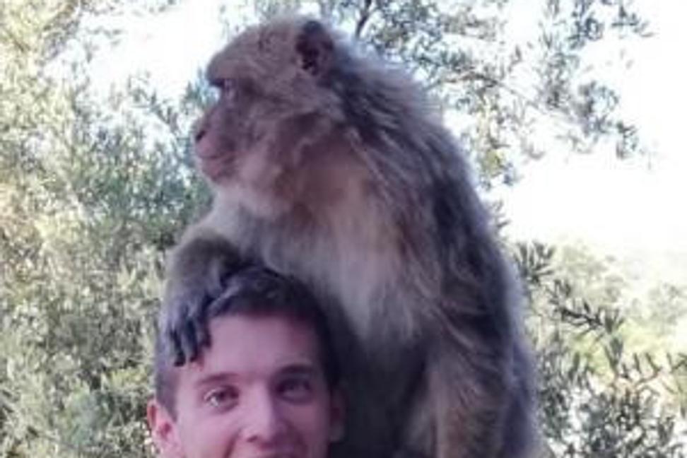 Má Maroko čo ponúknuť?