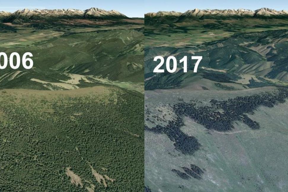 Nízke Tatry - Národný park alebo trhací kalendár?