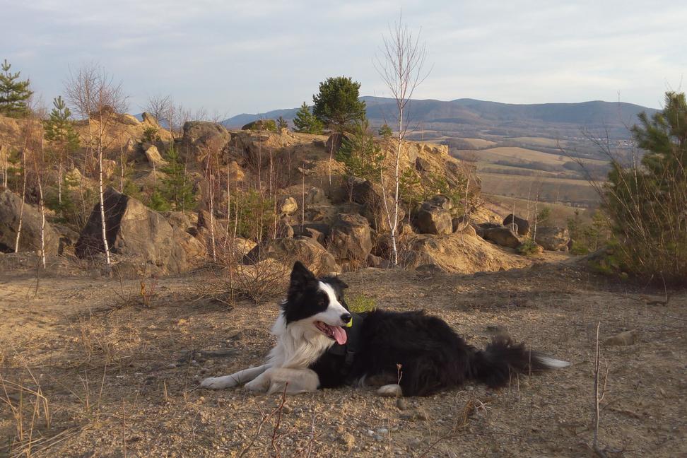 Východoslovenské Colorado, alebo pieskovcový lom v Nemcovciach