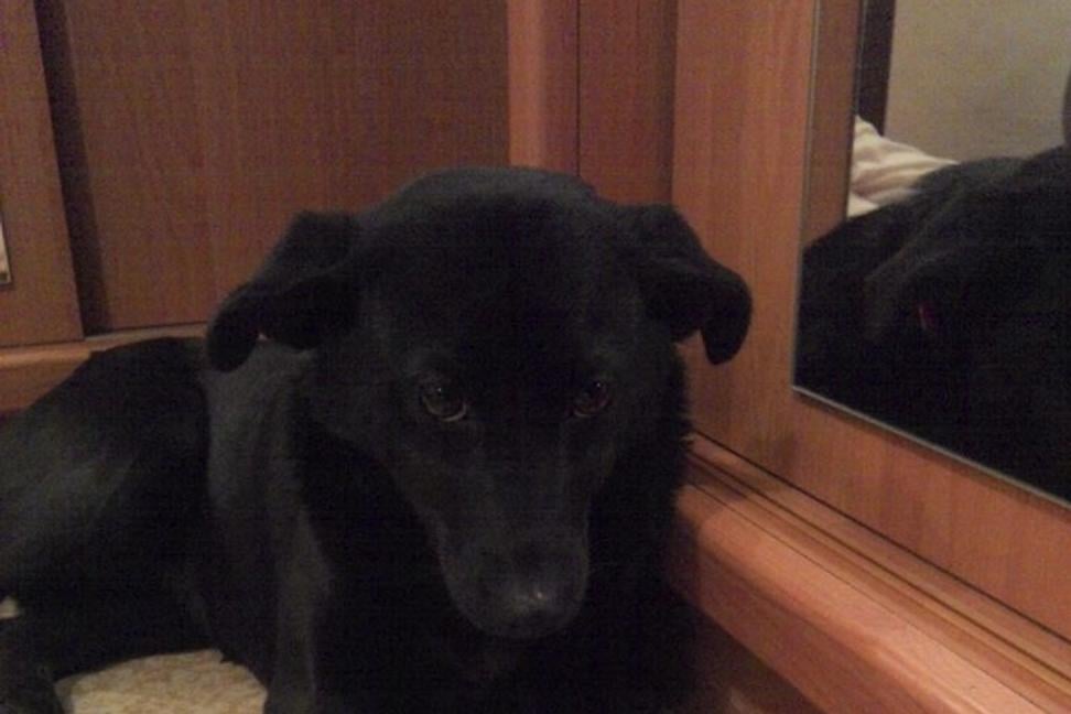 Príbehy z druhej ruky: Ria a piškóty