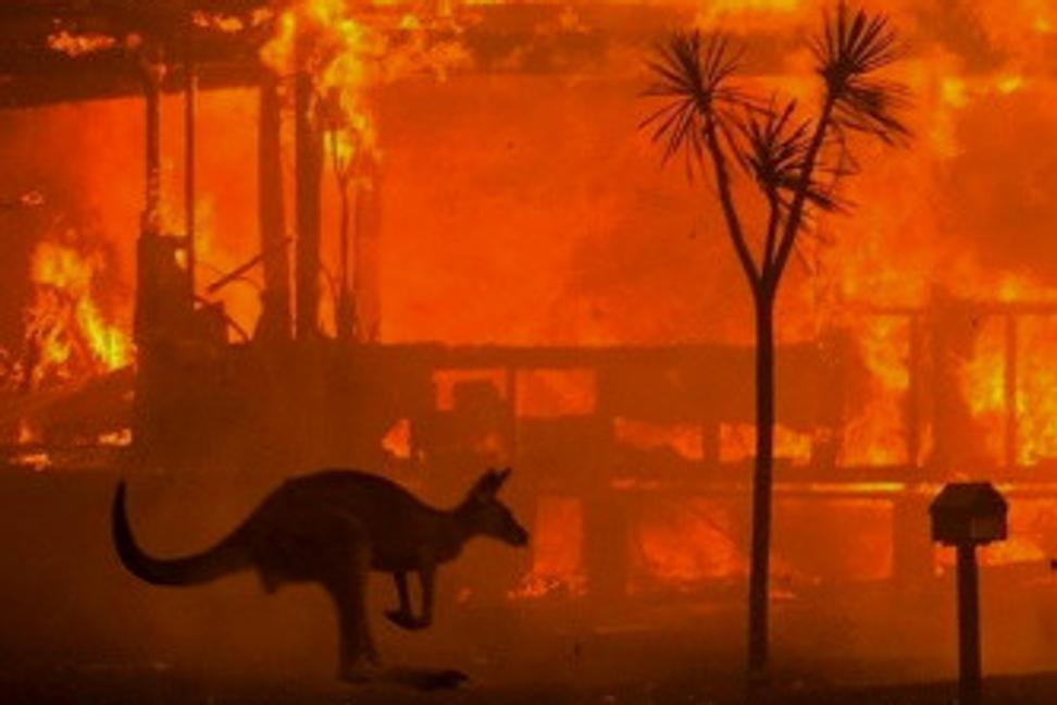 Požiare v Austrálii, kde je skutočná príčina?