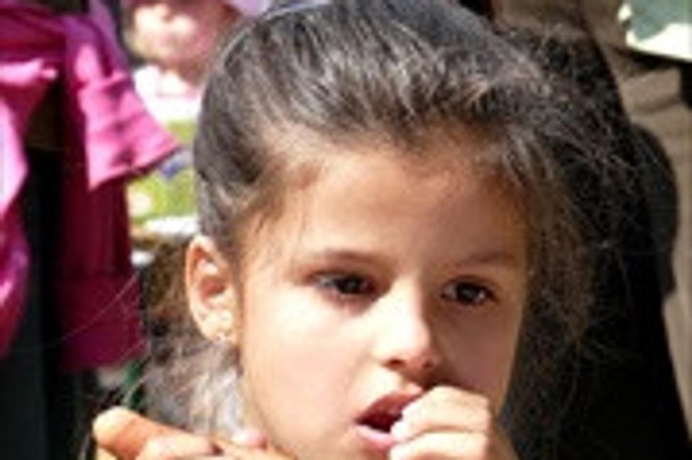 Obedy zadarmo? Konina!