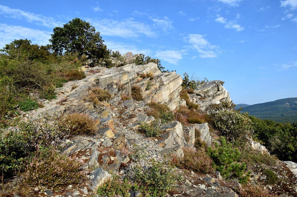 Hrdovická