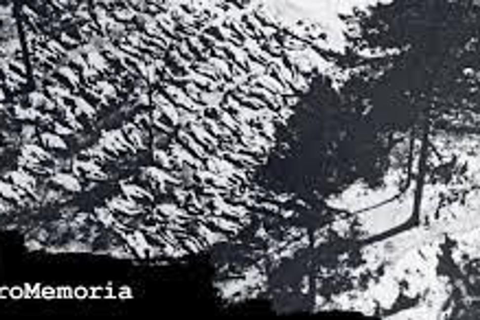 Buča - Katyň 21. storočia. Putin vraždí rovnako ako Stalin. Strelou obetí so zviazanými rukami do tyla. Popravenými obeťami sú i deti !!! Rekord.
