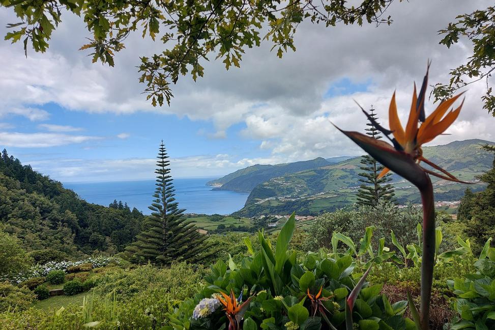 Azory – všade samé prírodné parky. Stromy, kvety, výhľady. Raj (posledná časť)