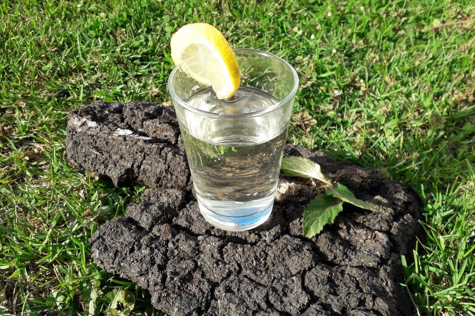 Bazový sirup