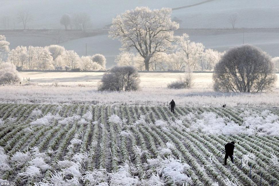 Liptovská Teplička mala včera ráno až -12,9°C