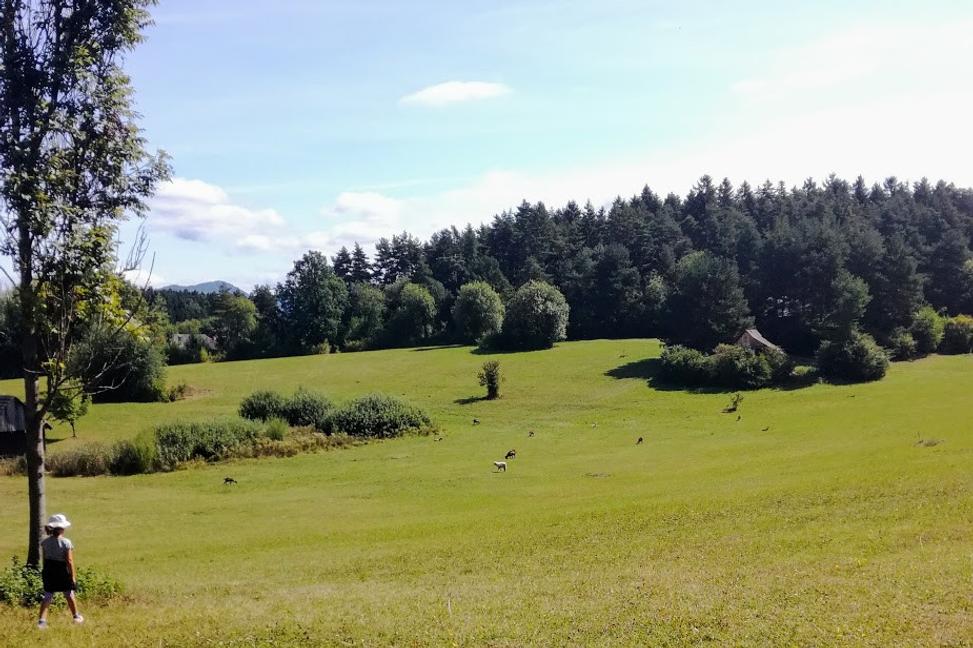 Múzeum slovenskej dediny v Martine