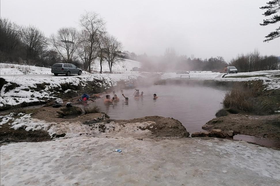 Zverinec na vandrovke. O koňoch, mačkách a psovi (alebo čo bolo po troch divých sviniach)
