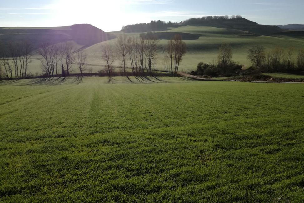 Camino de Santiago, Dia 21, Redecilla del Camino – San Juan de Ortega, 38 km